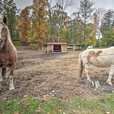 Rustic Clint Eastwood Ranch Apt By Raystown Lake Huntingdon Esterno foto