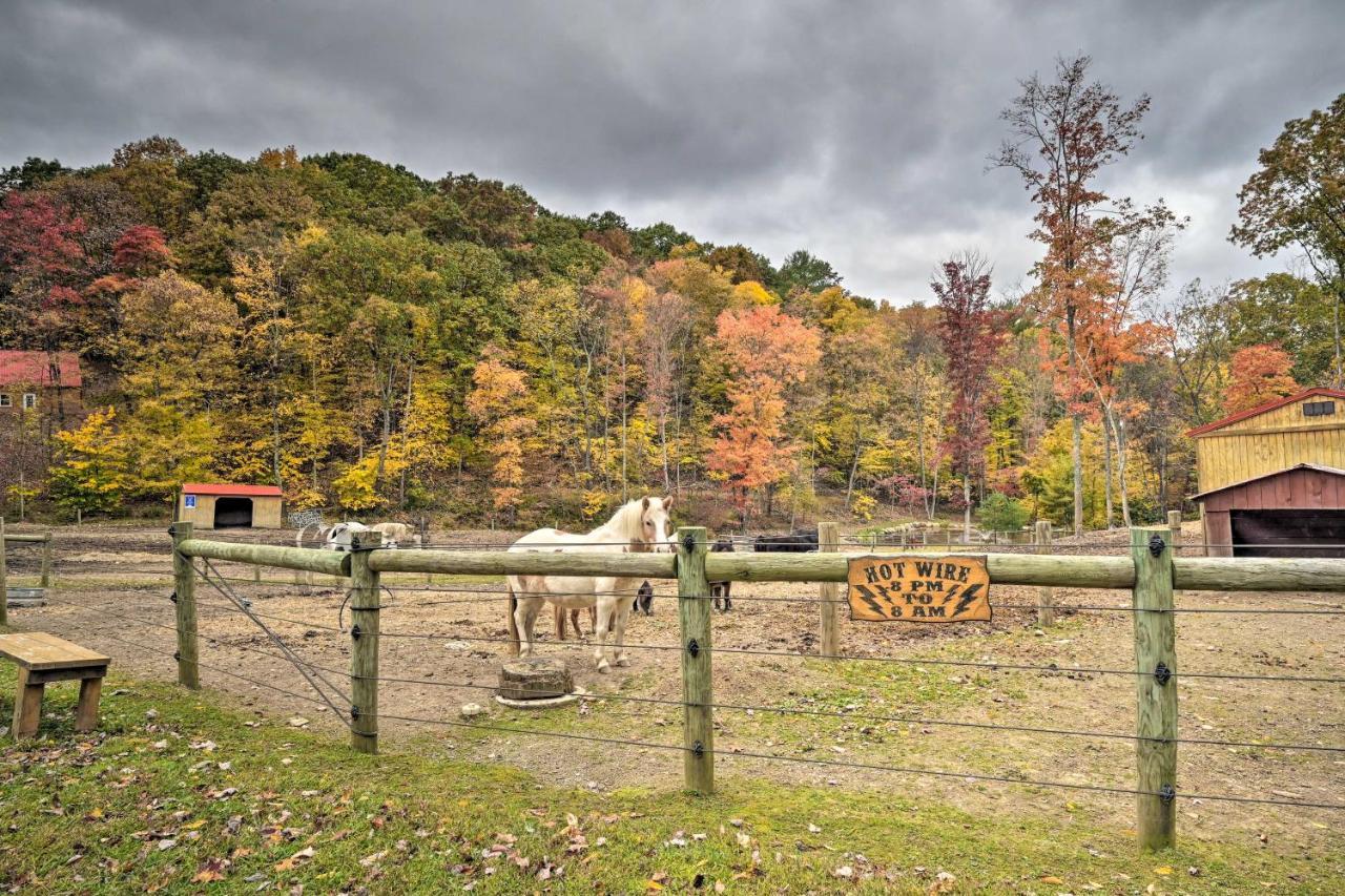 Rustic Clint Eastwood Ranch Apt By Raystown Lake Huntingdon Esterno foto