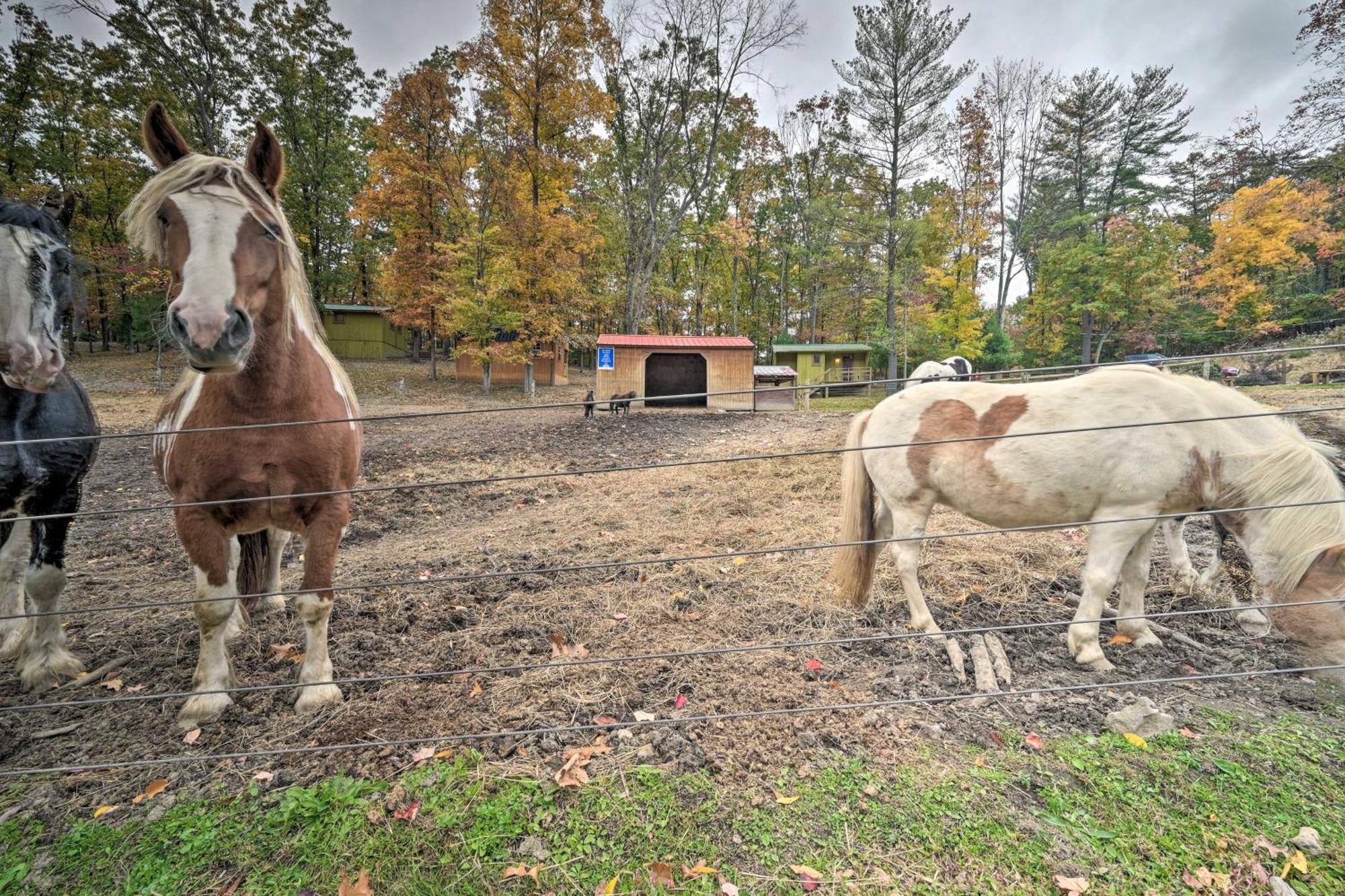 Rustic Clint Eastwood Ranch Apt By Raystown Lake Huntingdon Esterno foto